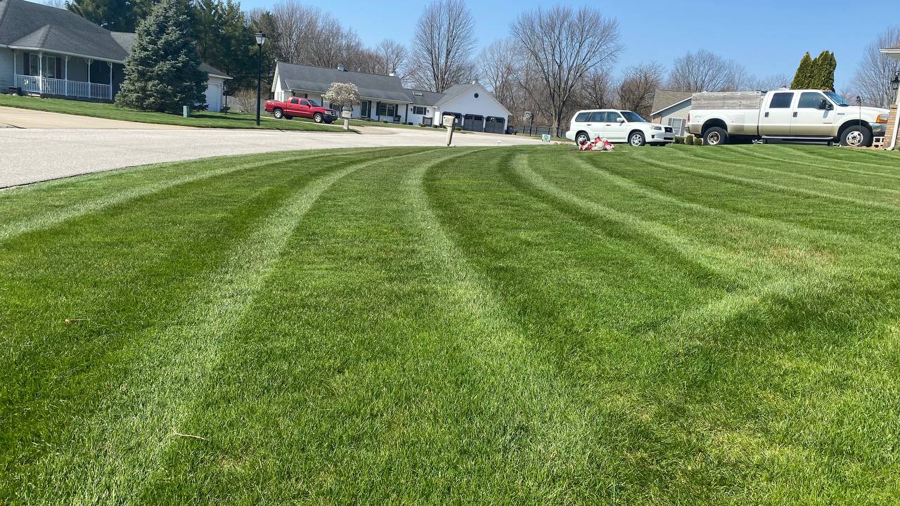 Curved Striped Lawn
