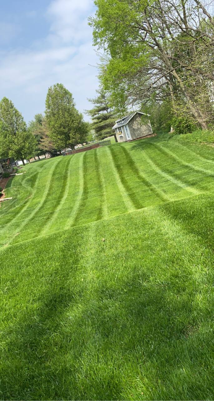 Hilly Lawn with Shed