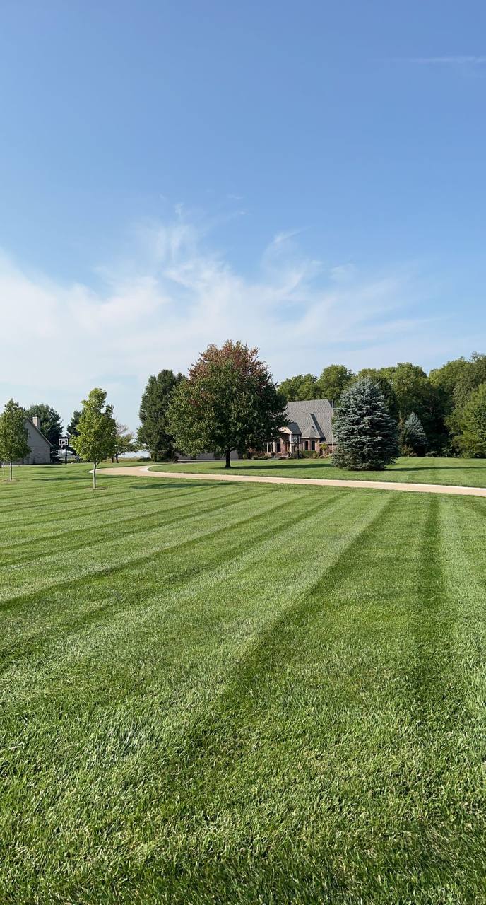 Large Estate Striped Lawn