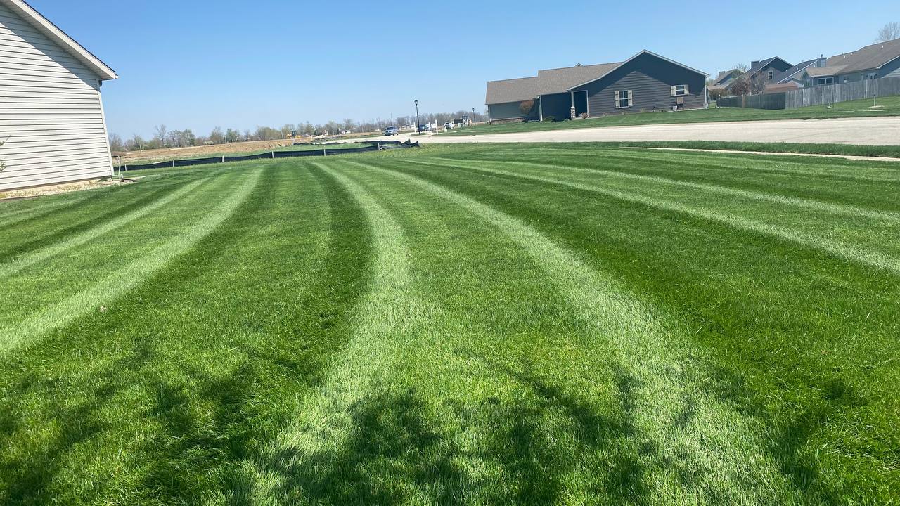 Striped Lawn in New Subdivision