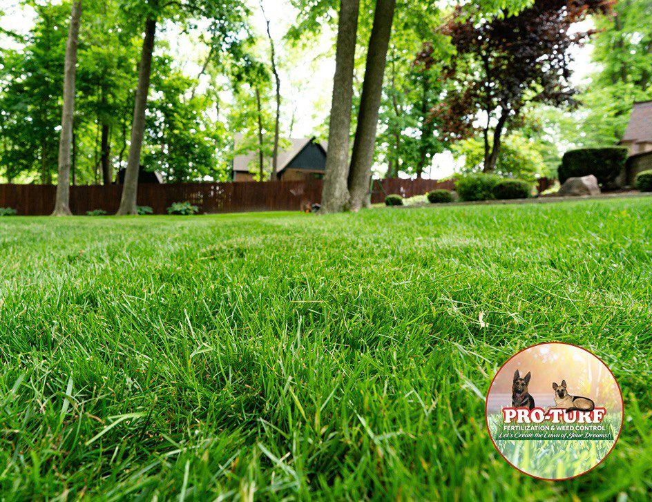 Lush green lawn with tall trees and Pro-Turf quality care