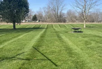 lawn
