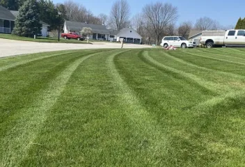 lawn