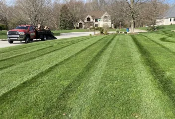lawn