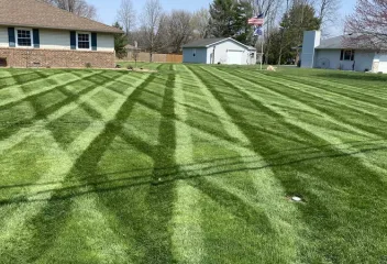 lawn