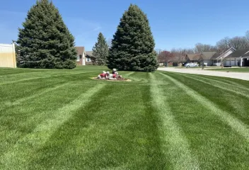 lawn