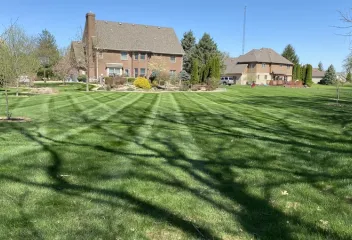 lawn