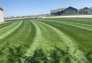 lawn
