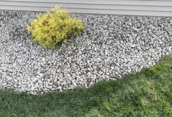 lawn