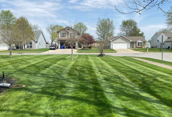 lawn