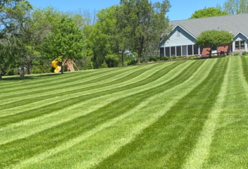 lawn