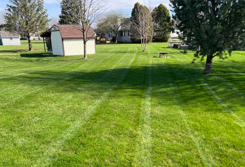 lawn