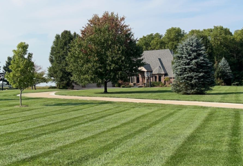 lawn